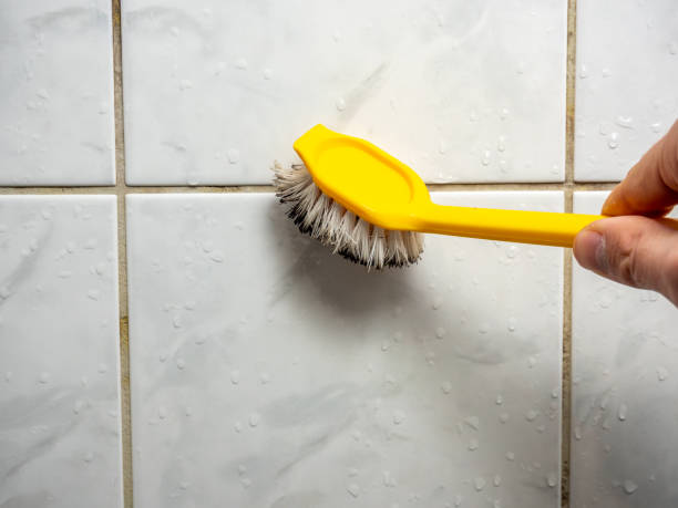 Best Fast Mold Removal  in Sea Bright, NJ